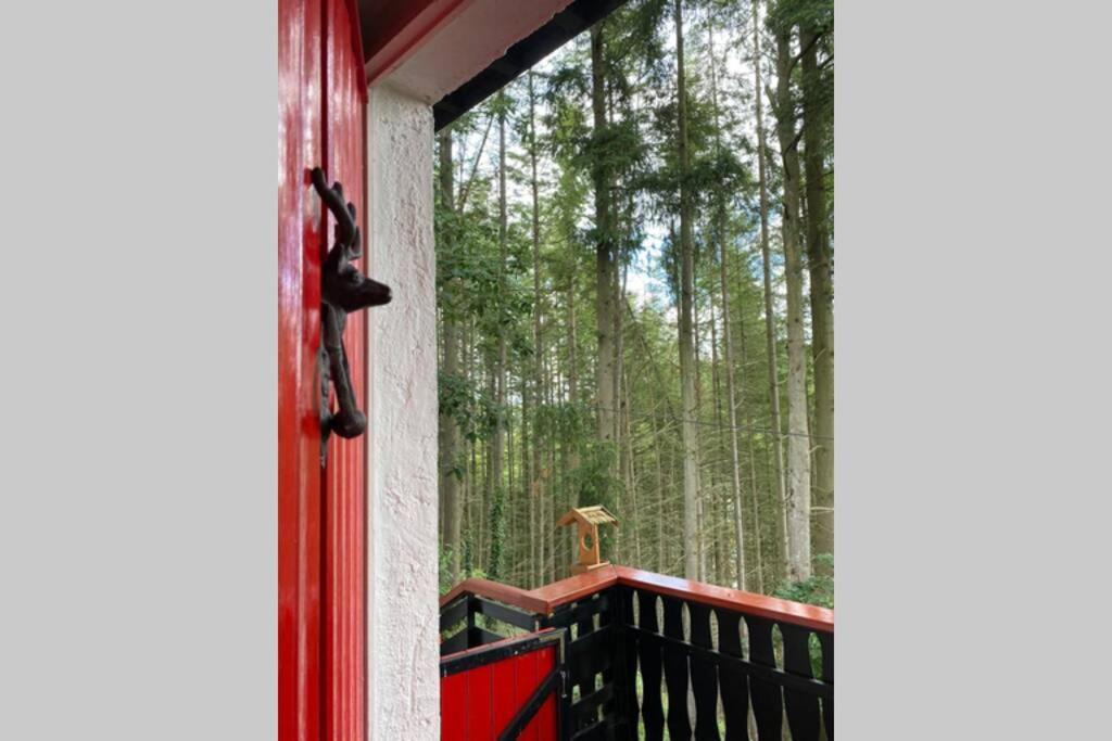 The Vianden Cottage - Charming Cottage In The Forest Екстер'єр фото